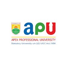 Recruitment/Vacancy at Apex Professional University (APU)