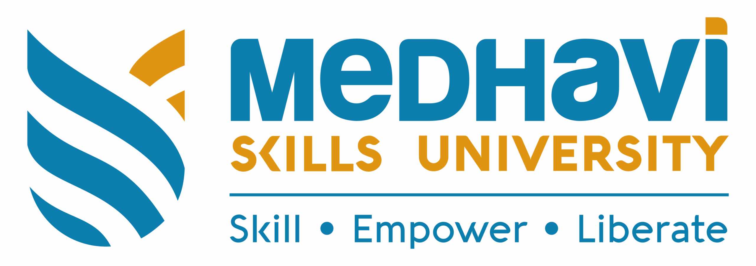 Recruitment/Vacancy at Medhavi Skills University