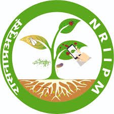 ICAR NRIIPM Recruitment
