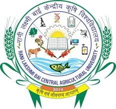 RLBCAU Jhansi Recruitment