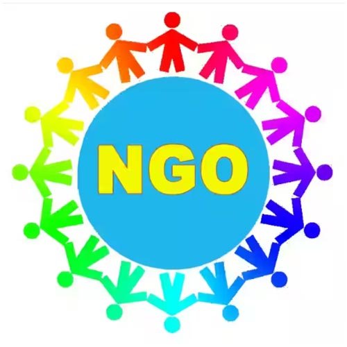 Non Governmental Organization (NGO)